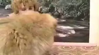 كس مبلول يتم تدميره: حركة خشنة للوضعية الخلفية