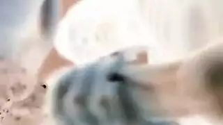 ملكات أفريقيات منحنيات في مشاهد شرجية ومهبلية مكثفة