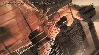 شؤون عائلية محرمة شديدة الإثارة