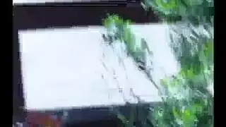 المترجم يحصل على وجه مليء بمؤخرة سارة المثيرة
