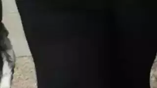ضعف الأقضاب، ضعف السائل المنوي مقطع أورجي مكثف