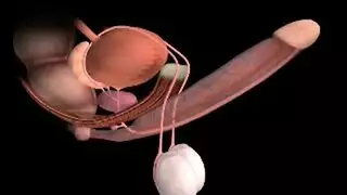 ام وابنها حقيقي في المنزل لوحدهم