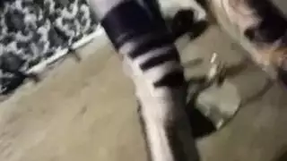 حصري: لعب تيسا فولر الشرجي ووصولها للنشوة