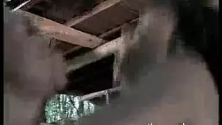 العناوين المعاد صياغتها: