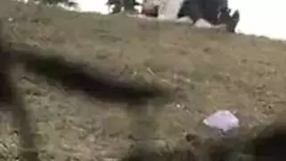 مثلية ثلاثية في المطبخ ركوب مزدوج للوجه وتمدد شديد