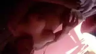 جلسة جنس الحيوانات البدائية الصريحة