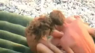 سجن القبض الشريط الجنس