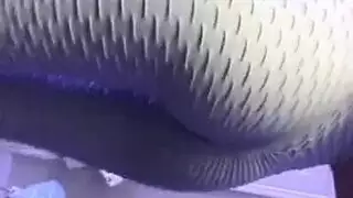 جنس شرجي صريح مع الشقراء ذات المؤخرة الكبيرة أنيكا أولبرايت