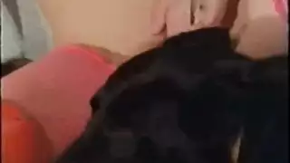 فيديو bestiality غير خاضع للرقابة