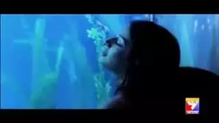 تقبيل عميق مع لمسات جنسية صريحة
