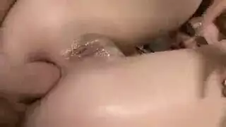 بخش