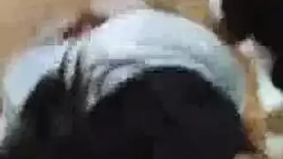 مضحك سكانك رومانسي
