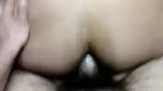 فتح الهرة عيد الرعب افتضاحي