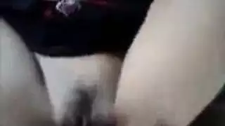 كلب ينك مراء