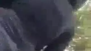 إباحية صريحة في الغابة: زوجان جزائريان مع عاهرة تركب القضيب