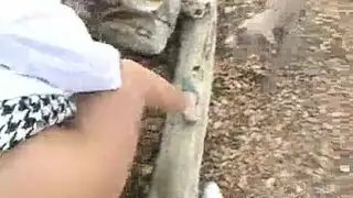 جنس سوداني مكثف: فيديو كامل مع صوت وصور