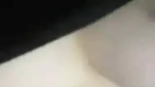 جنس بين الأعراق قاس: أرانب ثلجية تتوسل من أجل البذور السوداء