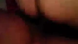 نايكوليت شيت