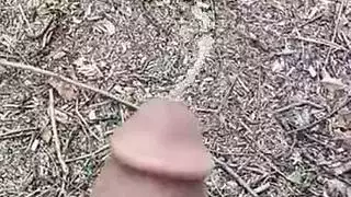 زيارة زوجة الأب السرية ليلاً