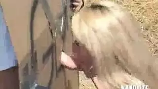مشهد خلفي عنيف إكس إكس إكس