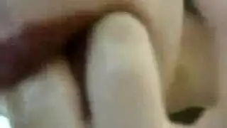 بانات