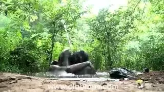 مثلية شرق أوسطية ثلاثية صعبة