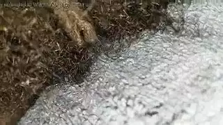 ضيق قريب مثليه الجنس الشرجي