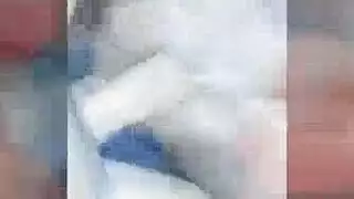 امهات ياباني محاوم جديد