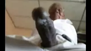 نيك ام جامد من نياك اسود زبه كبير جامد