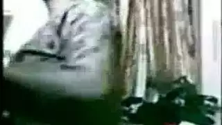لقاء كاميرا ويب جامح: شعر العاهرة السمراء يُسحب بينما تُمارس معها بقوة