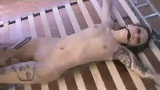 نيكفلاحهمصريهمربربه