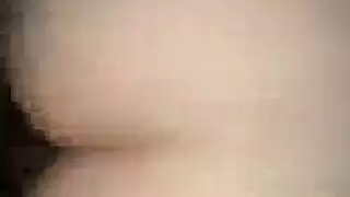مفلس الآسيوية غابة منافسة