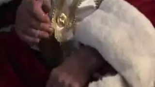 سانتا اليائس يستمني: لا مؤخرة مشدودة أو مهبل مبلل في الأفق