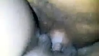 كلب عملاق يركب صغيرة