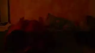 مثليه البرازيلي دغدغة هواة الثلاثي