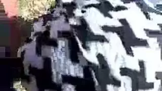 جنس جبلي جامح: مص عميق في مكان منعزل