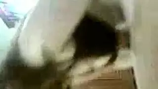 شاهد هذه الحلوة المصرية تمارس الجنس مع نفسها لإرضاء العميل