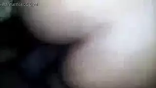 الحمار التصفيق