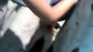 ميلب