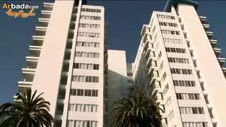 علاقة محارم: أخوة يمارسون الجنس مثل الحيوانات