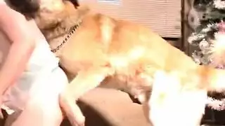 حركة كلب على امرأة جامحة: نيك كلب عنيف في مشهد بورن قاسي