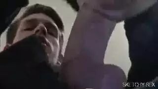 مطيع الإحليل الأفرو