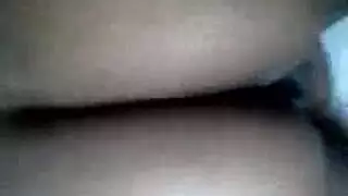 ترانزيستور الكلبة مثليه وجه الجلوس