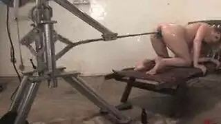شميل تنيك ميلف