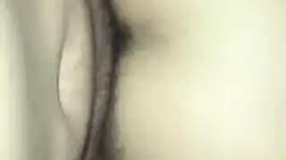 فضائح شبراخيت