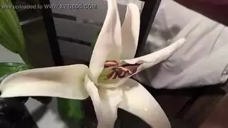 شقراء زلقة تتحكم في فعل جنسي صريح على طبعة الزهور