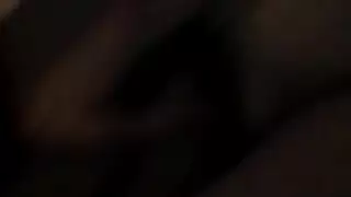 شمام معصوب العينين الشرج دسار