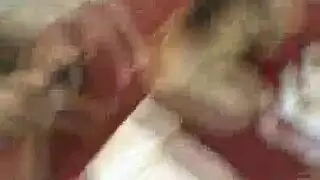 أثداء طبيعية ضخمة تهتز على صدر أم مثيرة في مشهد إباحي مكثف