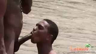 شواذ سادية