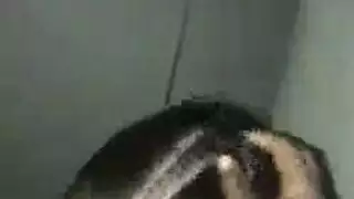 الالم يجعل كل شيء
